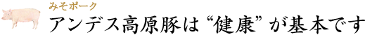 豚ロース：アンデス高原豚は“健康”が基本です。