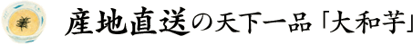 産地直送の天下一品「大和芋」