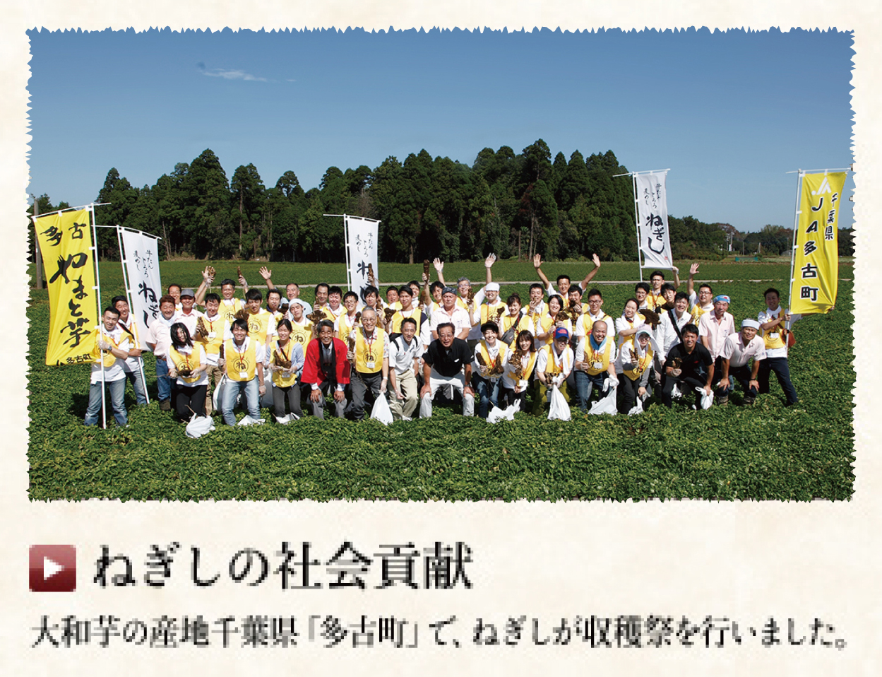 ねぎしの社会貢献　大和芋の産地千葉県「多古町」で、ねぎしが収穫祭を行いました。