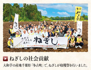 ねぎしの社会貢献　大和芋の産地千葉県「多古町」で、ねぎしが収穫祭を行いました。