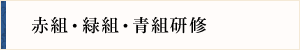 赤組・緑組・青組研修