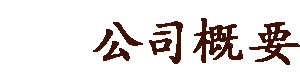 Company Information