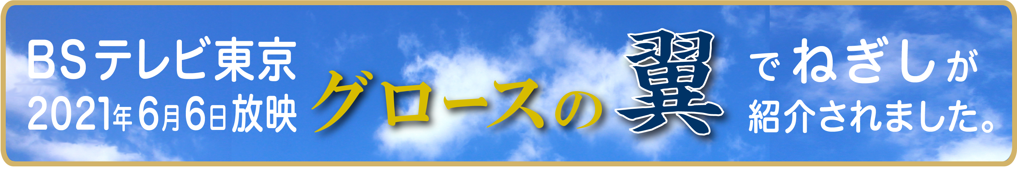 カンブリア宮殿文字バナー02